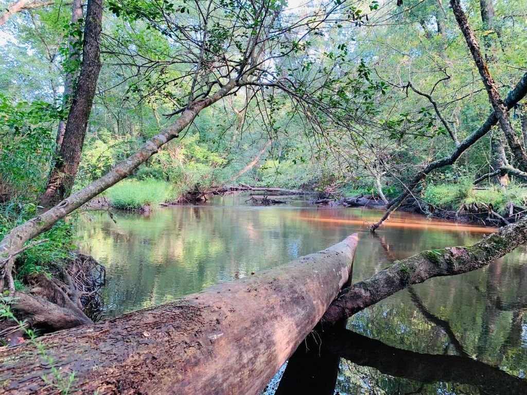 Tradd Ln, Aiken, SC 29805 Trulia