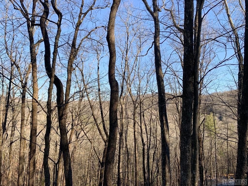 13 Glencove Dr, Cashiers, NC 28717 MLS 97975 Trulia