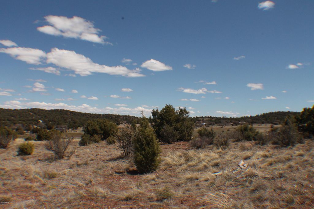 1780 Sunnyview Ln, Clay Springs, AZ 85923 Trulia