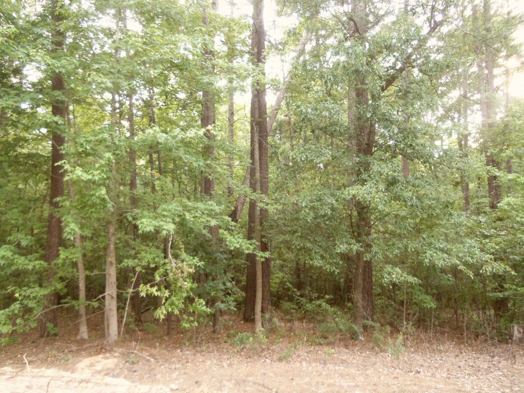 91 County Road 1528, Avinger, TX 75630 Trulia