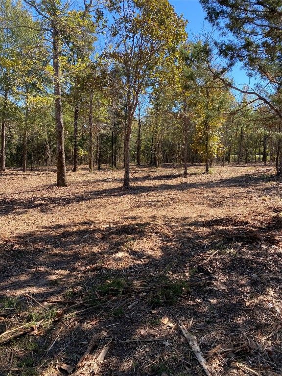 Vz County Road 4607 Ben Wheeler TX 75754 Trulia Vz County Road 4607 Ben Wheeler TX 75754 Trulia