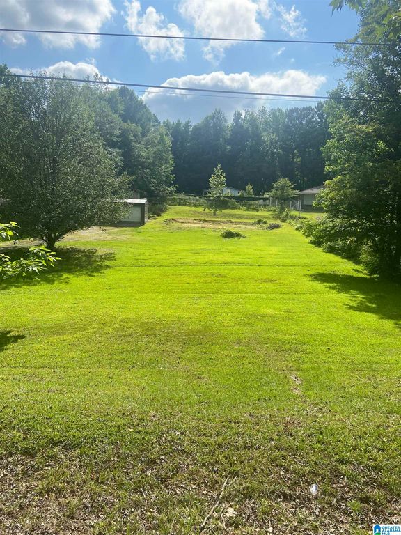 3034 Woodruff Mill Rd 25.001, Adamsville, AL 35005 Lot/Land for Sale