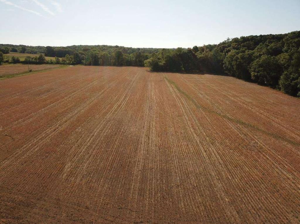 Fountain St, Elmer, MO 63538 Trulia