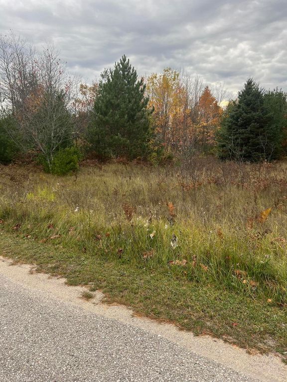 Lot 17 Sherry Lynn Dr, Engadine, MI 49827