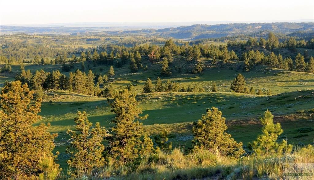 Nhn Rock Canyon Ln, Hysham, MT 59038 MLS 337317 Trulia