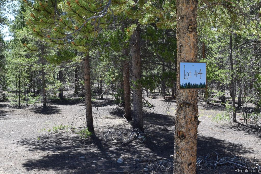 250 Snowshoe Rabbit Dr 4, Leadville, CO 80461 Trulia