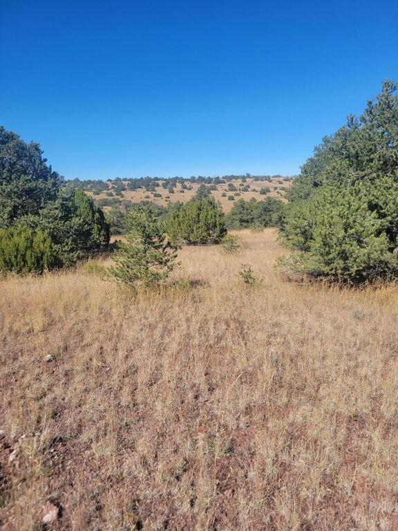 Off Powerline Rd, Quemado, NM 87829 Trulia