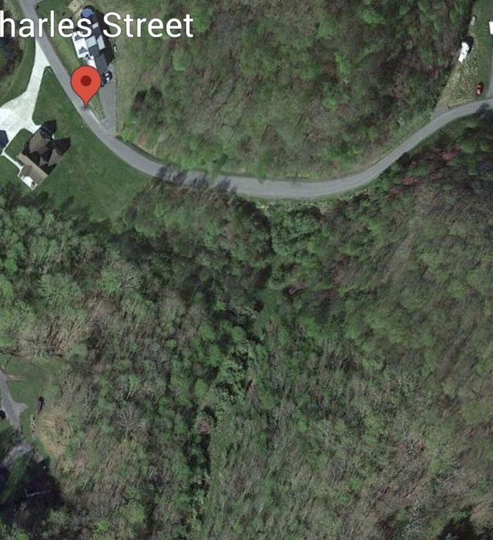 Charles St, Clintwood, VA 24228 MLS 9951364 Trulia