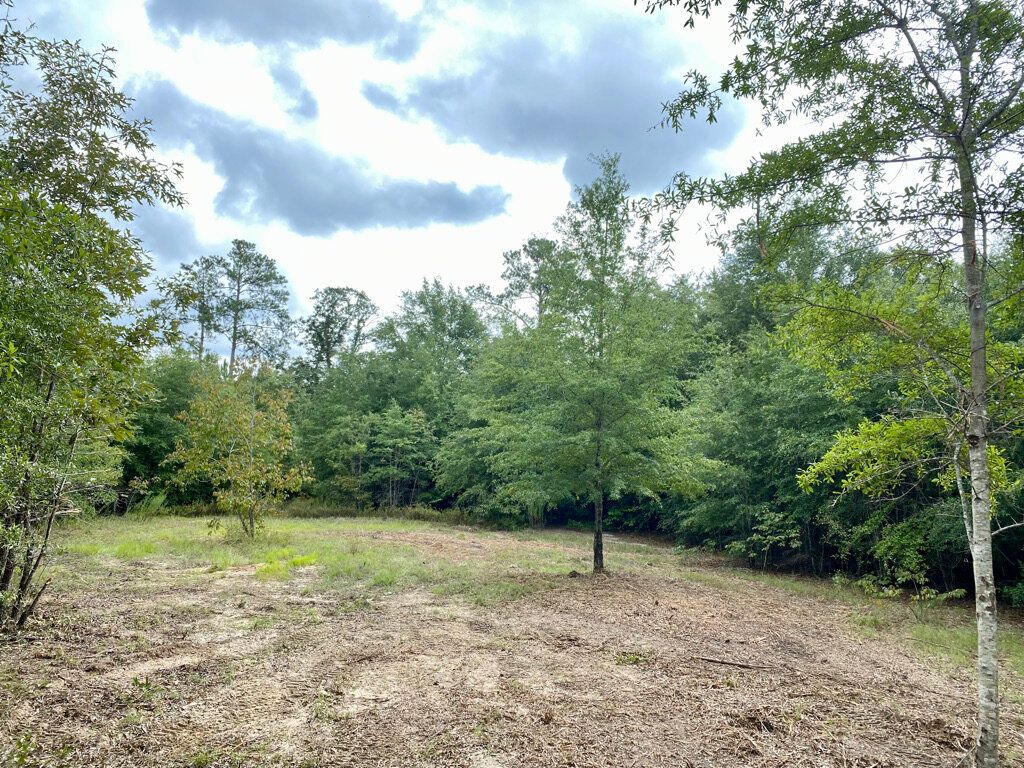 US Highway 441, Irwinton, GA 31042 Trulia