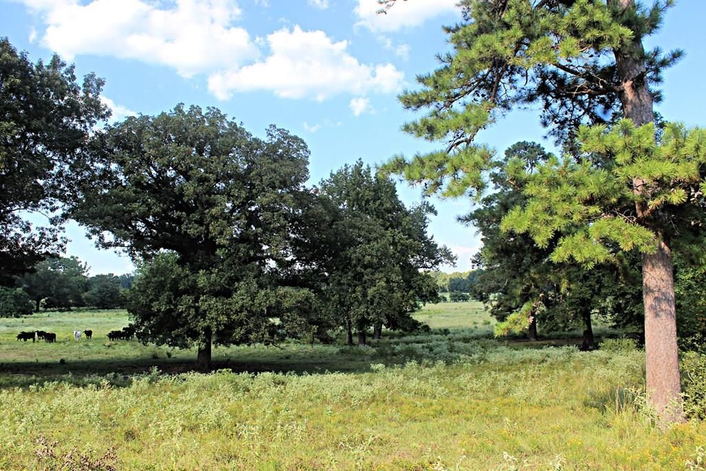 1723 County Road 4680, Kennard, TX 75847 Trulia