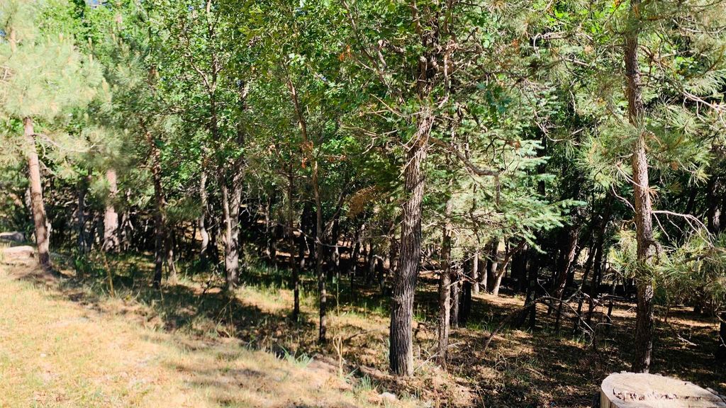 27 Ponderosa Pines Trl, Cloudcroft, NM 88317 Trulia