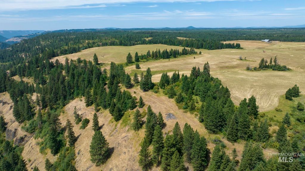 1605 Jasmine Lane Parcels 16 &17, Weippe, ID 83553 Lot/Land for Sale
