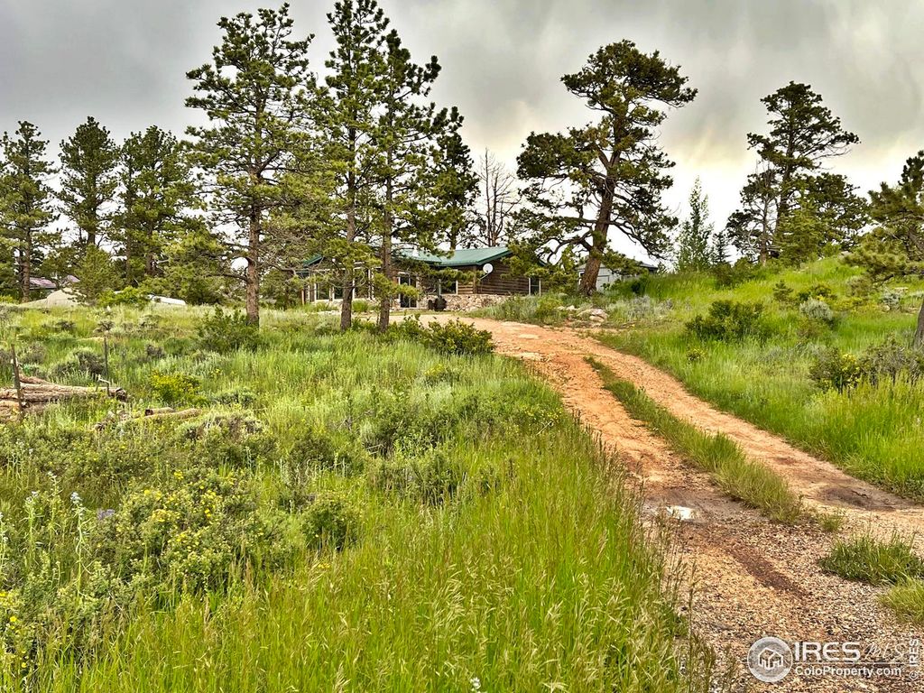 28 Birdie St, Red Feather Lakes, CO 80545