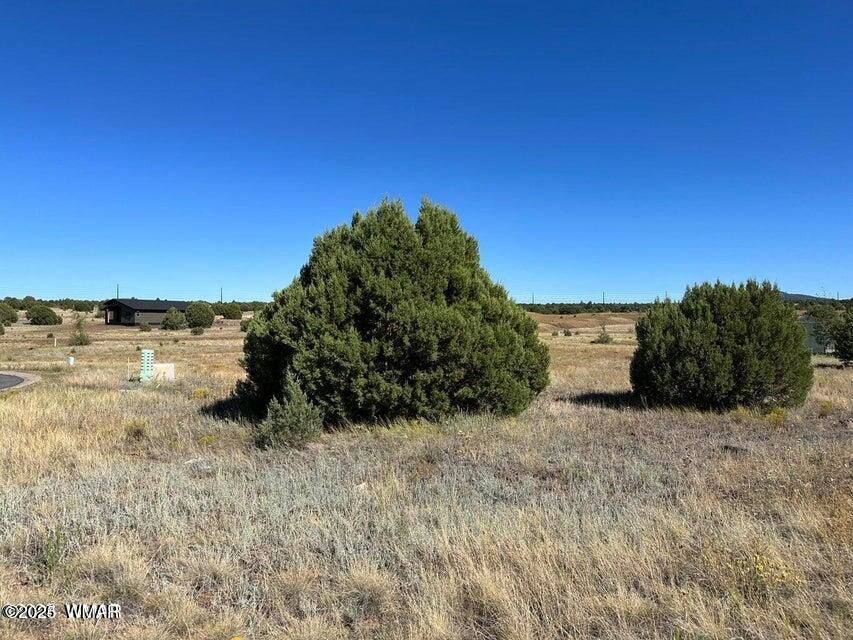 1181 S  Ridgeway Pl #1B-117, Show Low, AZ 85901