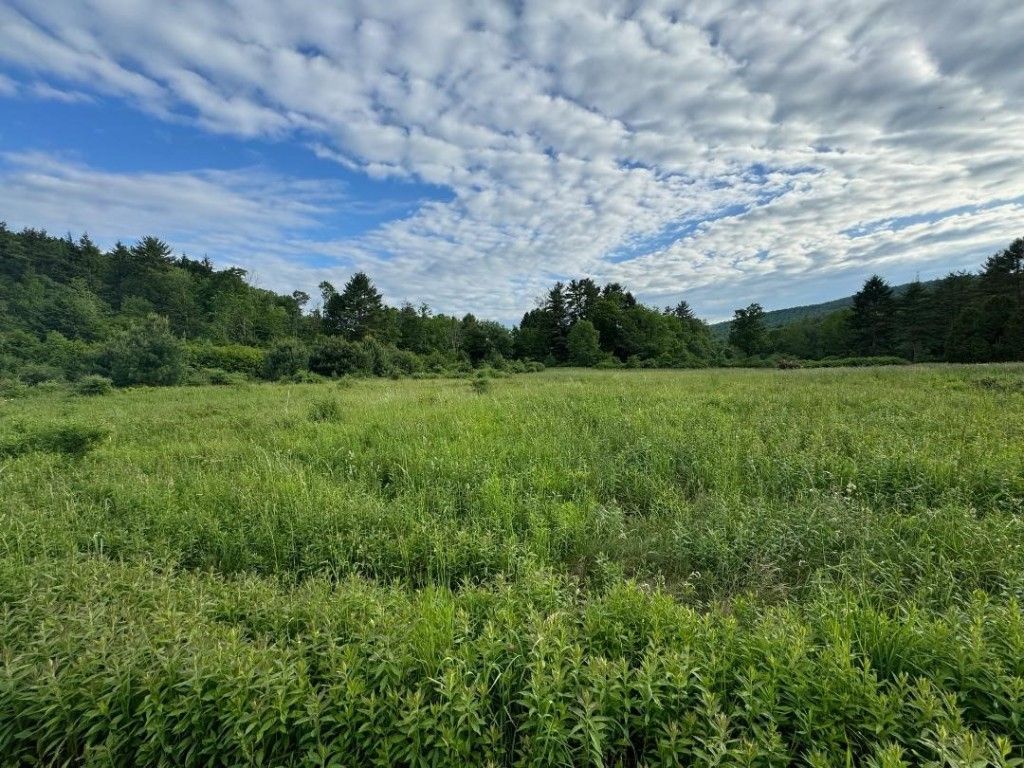 304 Ostrander Rd, Windsor, NY 13865 MLS 325895 Trulia