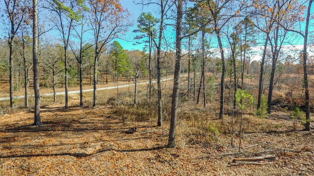66 Eighteen Acres Cres, Calico Rock, AR 72519 Trulia