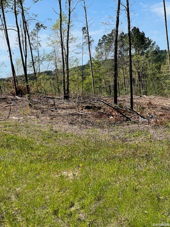 Highway 84 B, Bismarck, AR 71929 MLS 146050 Trulia