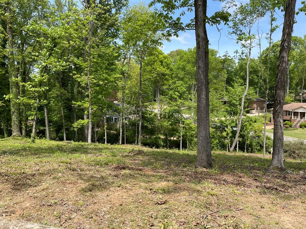 Forest Hills Dr, Florence, AL 35633 Trulia