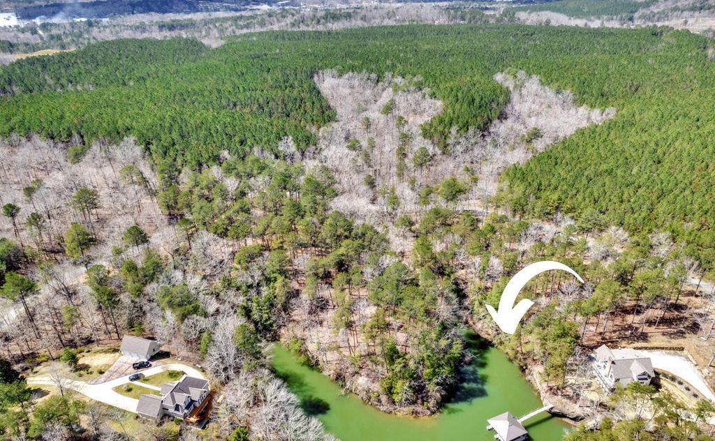 1 Lake Pointe Dr, Arley, AL 35541 Trulia