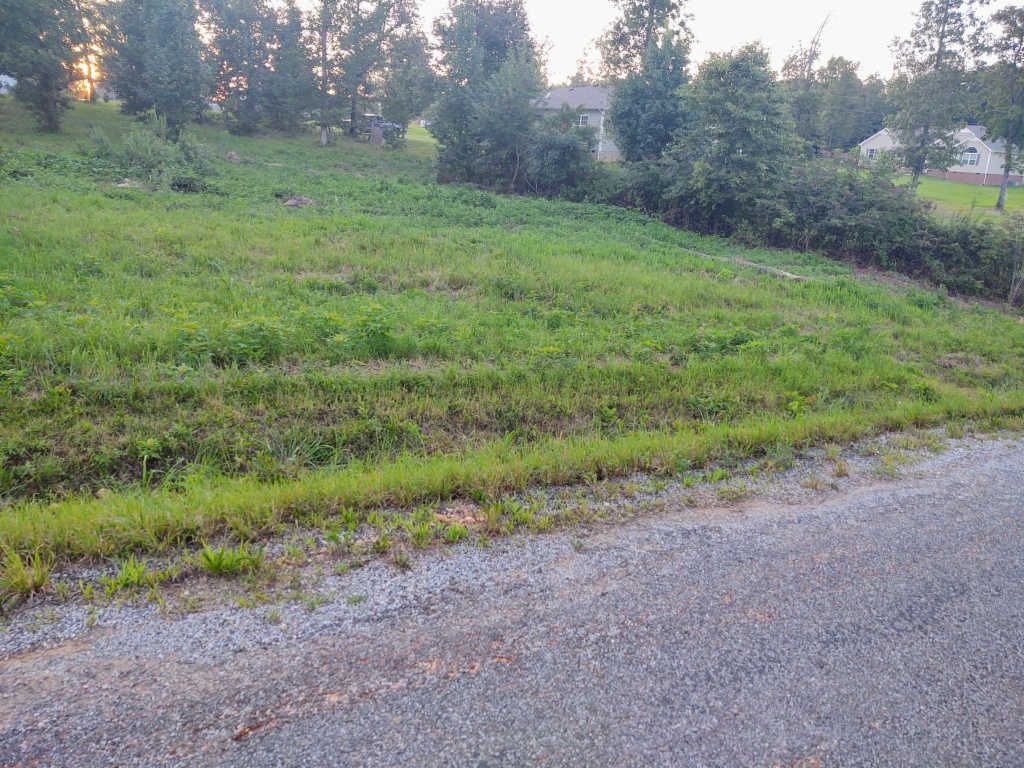 Wyshema Ct, Mount Pleasant, TN 38474 Trulia