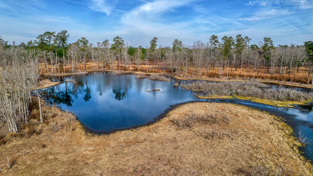 1 River Rd, Lane, SC 29564 MLS 23003501 Trulia