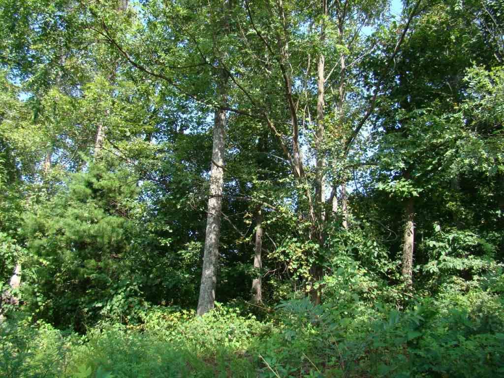 49 Peseco Dr, Bostic, NC 28018 Trulia