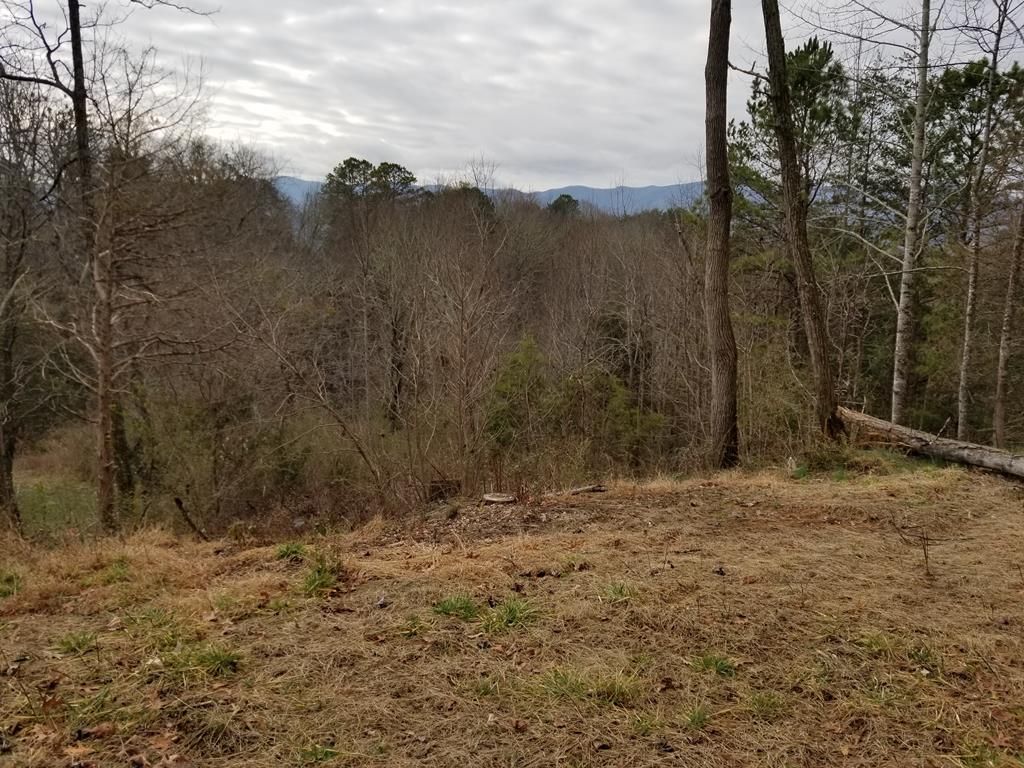 02463 Union Hill Rd, Whittier, NC Lot/Land 8 Photos Trulia