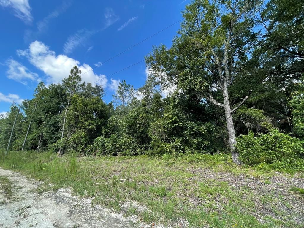 NE 91st Ct, Bronson, FL 32621 Trulia