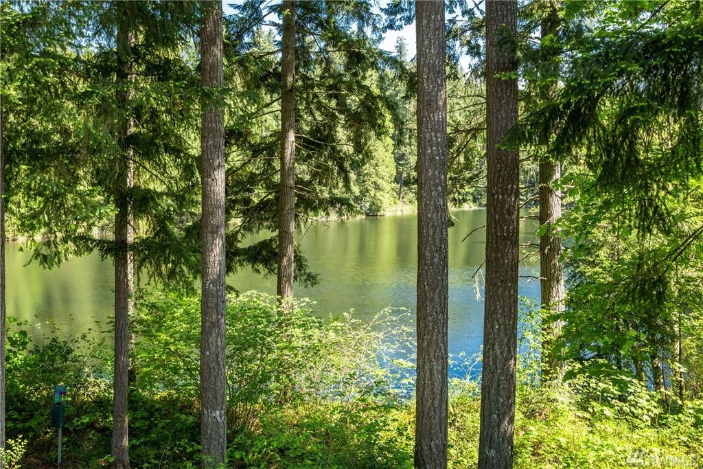 homes for rent yelm wa