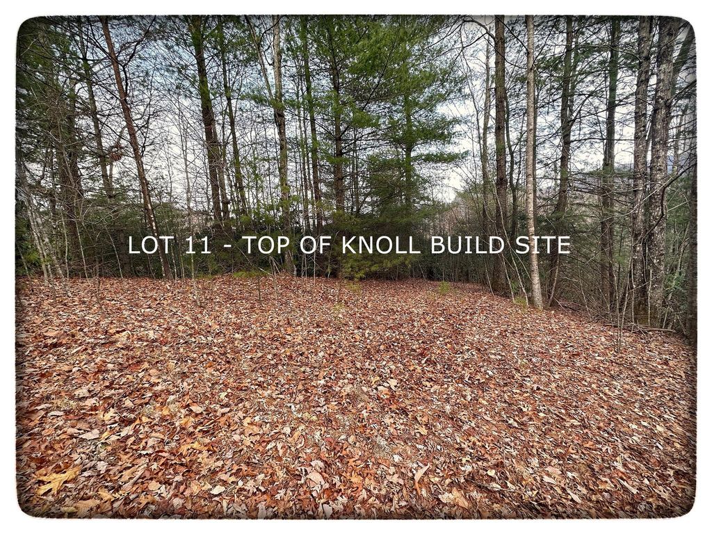 11 Silverstone Dr, Hendersonville, NC 28792 Trulia