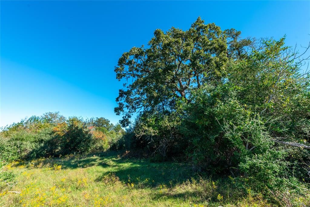 San Felipe Rd, New Ulm, TX 78950