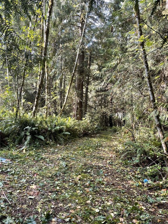 0 Butler Mill Road, Elma, WA 98541 Trulia