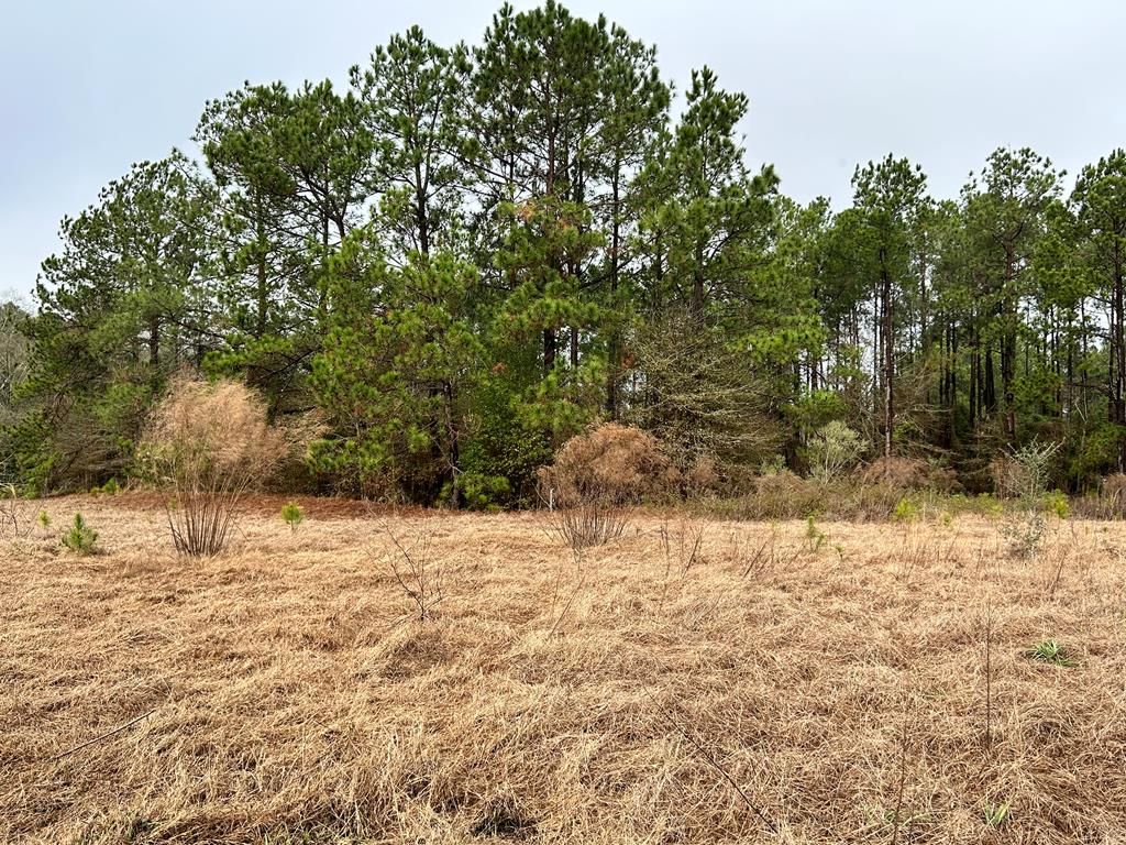 0 Turner Church, Enigma, GA 31749 Trulia