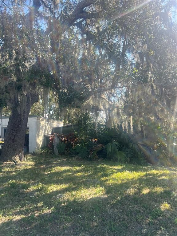 693 Chestnut St, Clermont, FL 34711