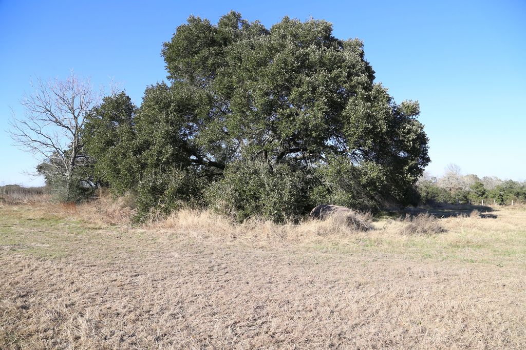 9051 Ohnheiser Kaase Rd, La Grange, TX 78945