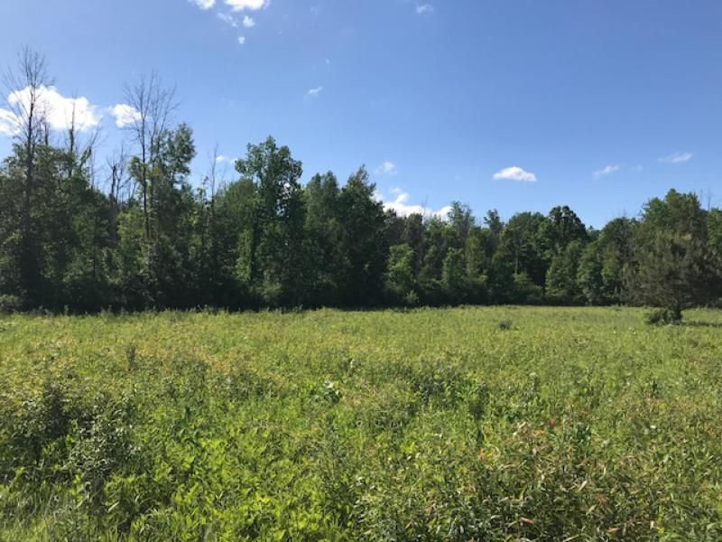 Riley Rd, Caro, MI 48723 Trulia