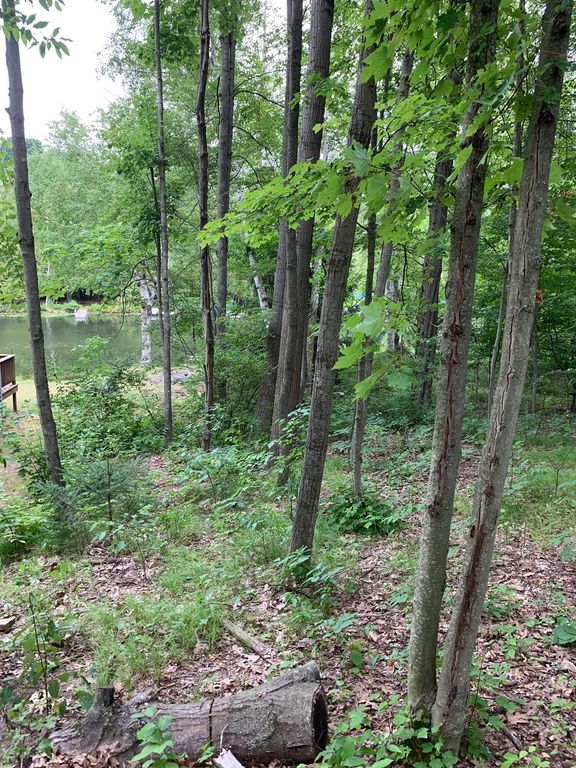 9464 W School Section Lake Dr, Mecosta, MI 49332 Trulia