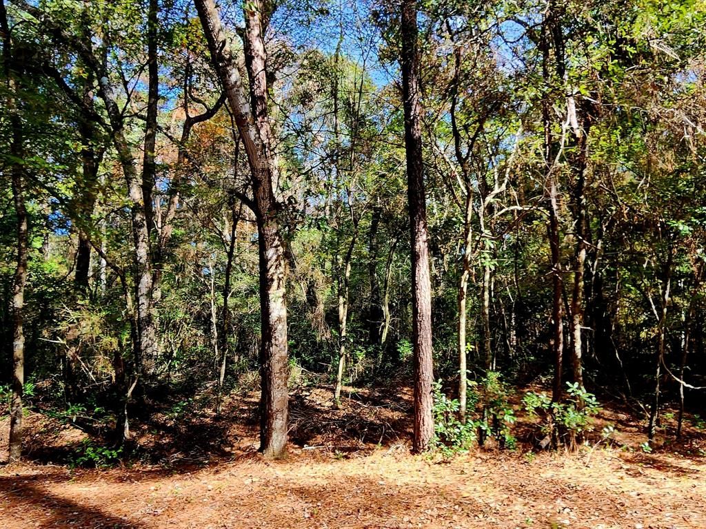 County Road 2654 156, Cleveland, TX 77327 MLS 85478098 Trulia