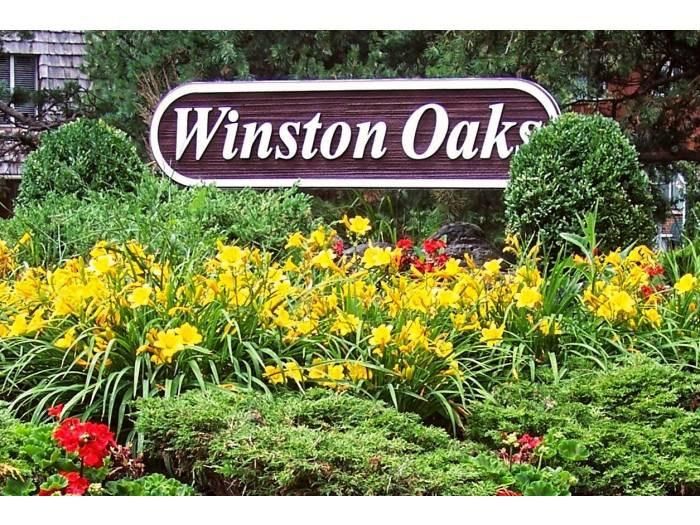 525 Winston Dr, Bolingbrook, IL 60440