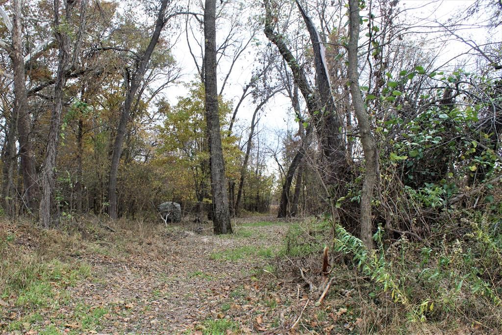 Dexter Rd, Linneus, MO 64653 Trulia