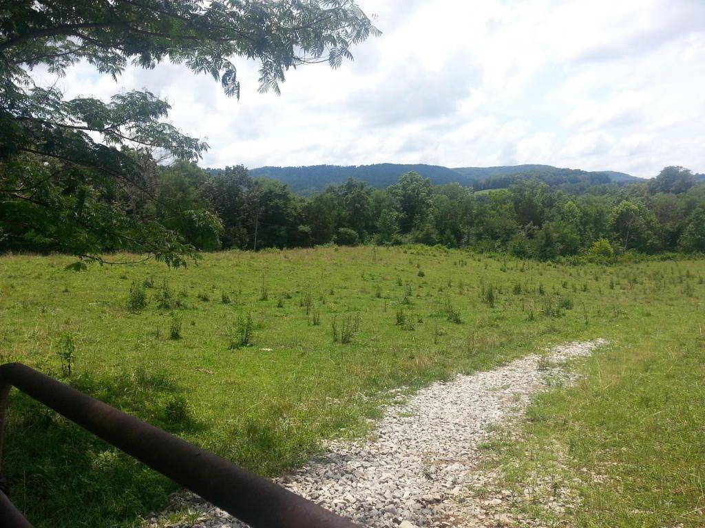 200 Lacy Ln, Alpine, TN 38543 Trulia