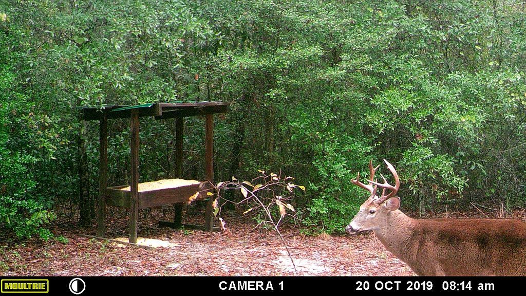 2495 Gillis Springs Rd, Soperton, GA 30457 Trulia