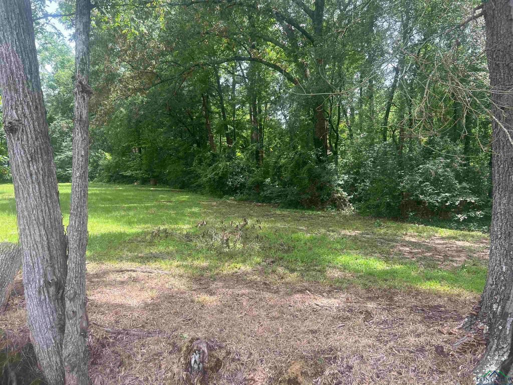 Tbd County Line Rd, Gladewater, TX 75647