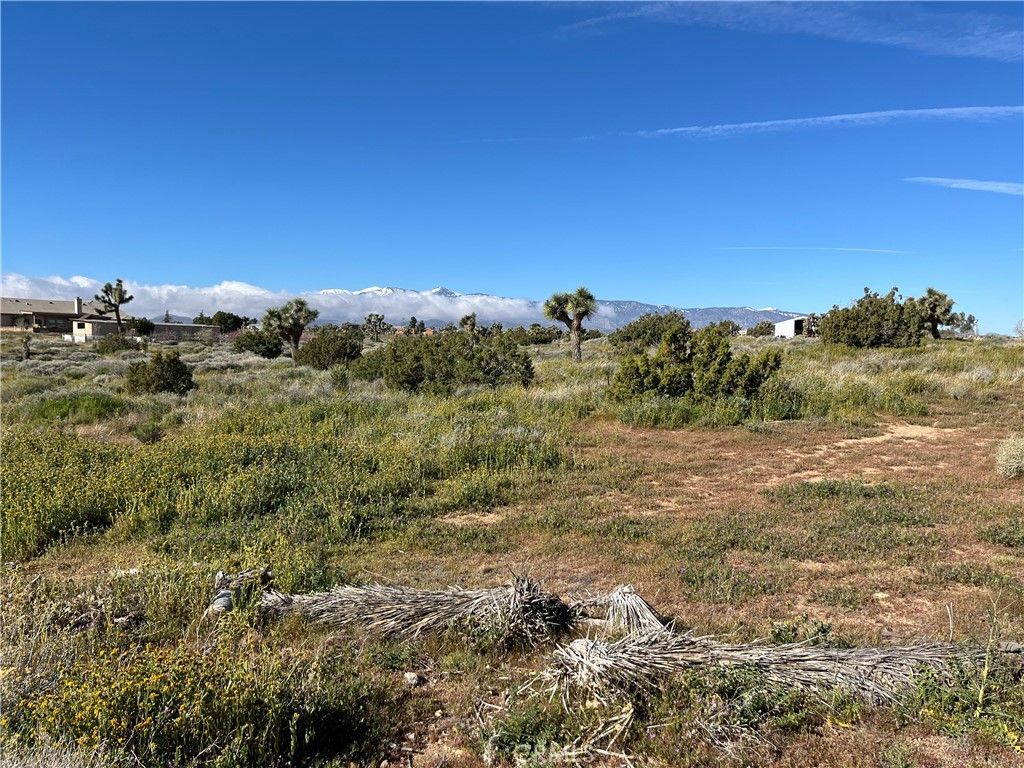 Vinton Rd, Phelan, CA 92371 MLS HD24064523 Trulia