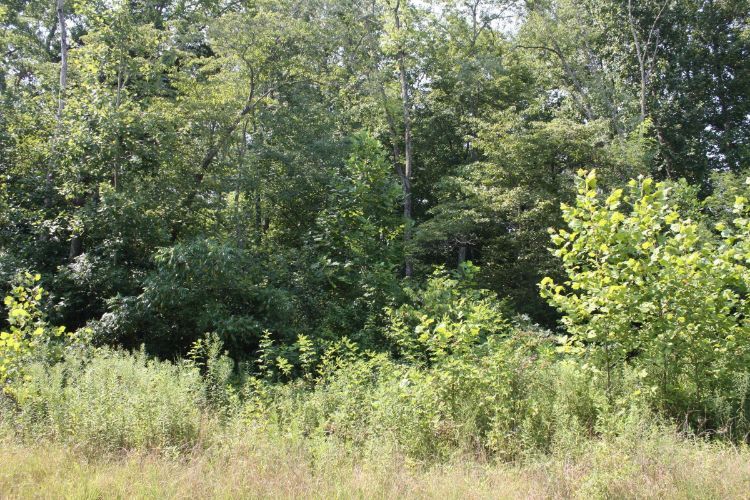 11 Doc Hubble Rd, Eubank, KY 42567 Trulia