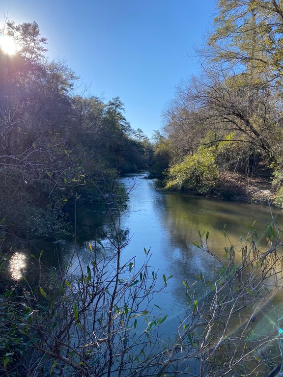 Dollar Rd WP001, Angie, LA 70426 Trulia