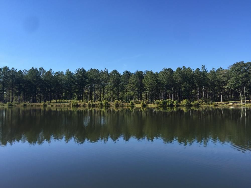 El Bethel Rd, Luverne, AL 36049 Trulia