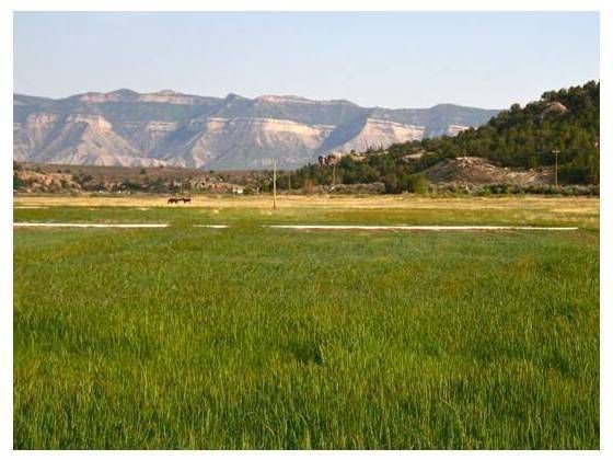 20615 Road G, Cortez, CO 81321