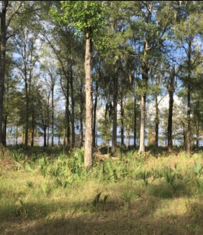 Jumping Bayou Rd 17, Deville, LA 71328 Trulia