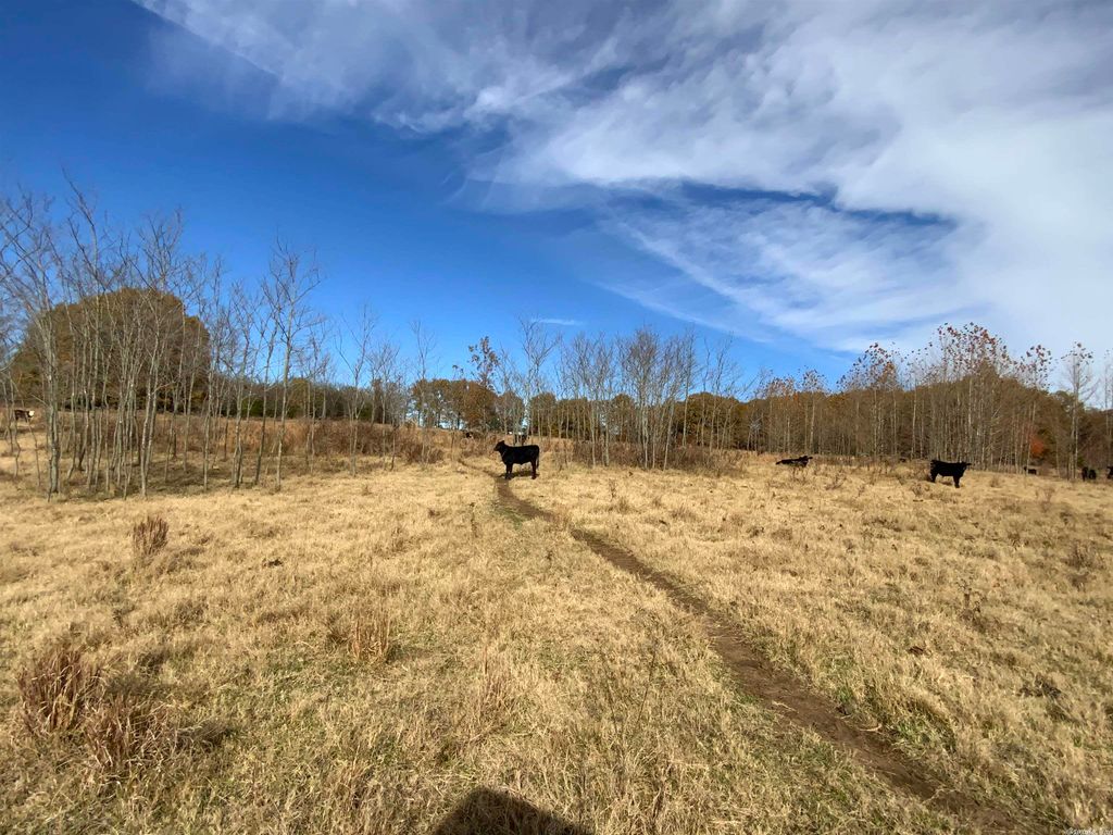 Steel Springs Rd, Strawberry, AR 72469 Trulia